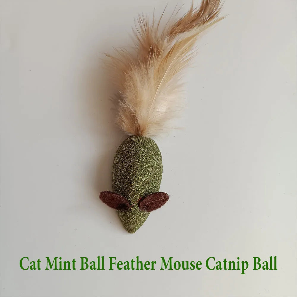 Mint Catnip Feather Ball Cat Toy — Self-Cleaning Teeth Grinding & Dental Play Toy