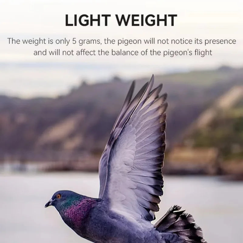 Pigeon GPS Racing Tracker Ring - Real-Time Electronic Positioning for Racing Birds