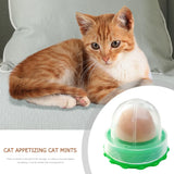 Catnip Licking Gel Treats for Kittens — Nutrition Candy Cats Love