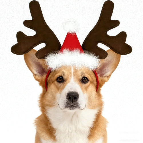 Christmas Antler Headband for Pets (Party Cosplay Headwear)