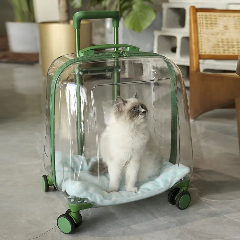 Transparent Capsule Pet Backpack Carrier with Wheels for Cats & Small Dogs