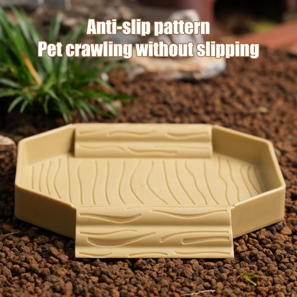 2-in-1 Anti-Slip Tortoise Water Dish — Bathing & Feeding Bowl with Ramp