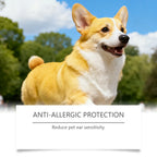 Gentle Ear Care Drops for Dogs & Cats — Earwax Remover & Anti-Fungal Cleanser