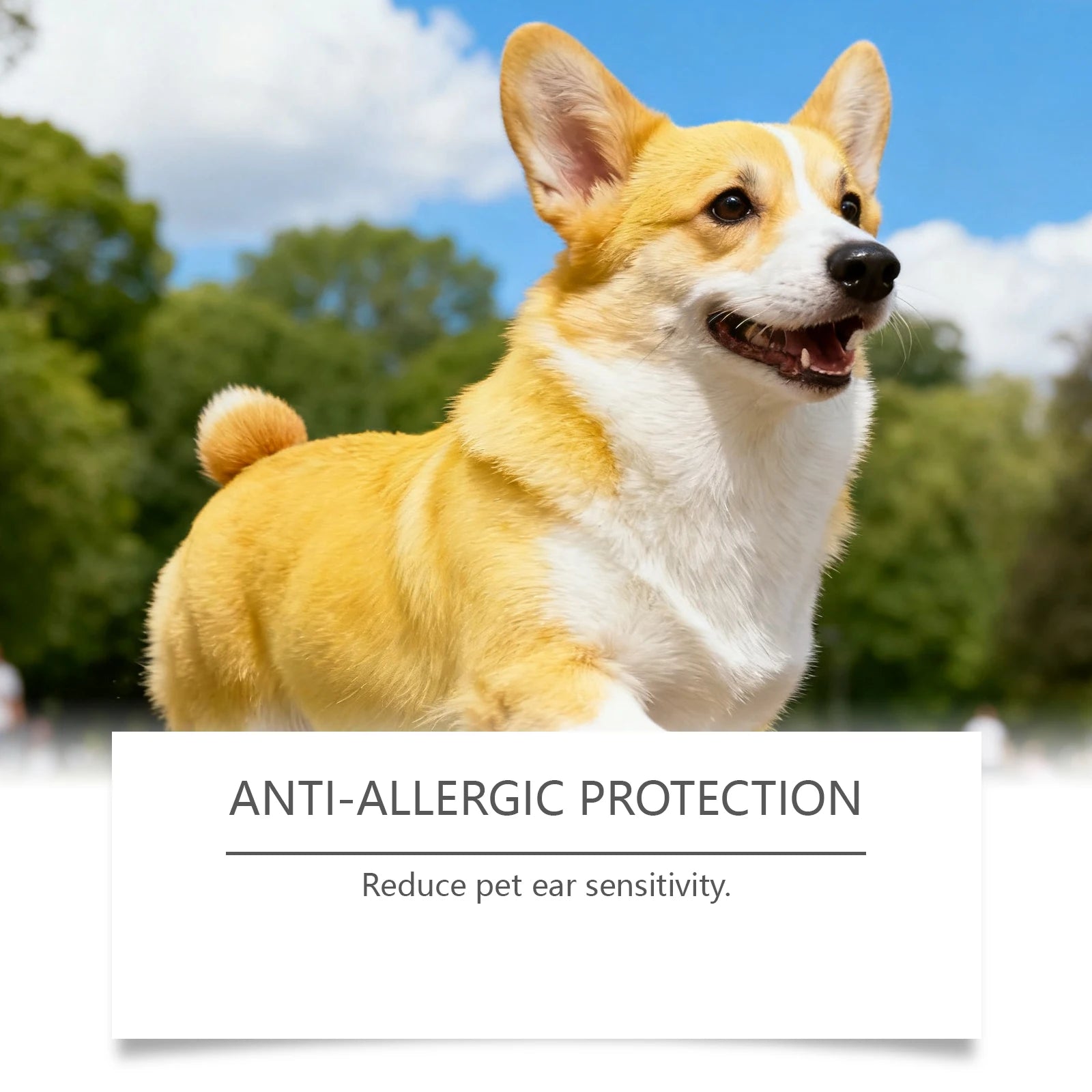 Gentle Ear Care Drops for Dogs & Cats — Earwax Remover & Anti-Fungal Cleanser