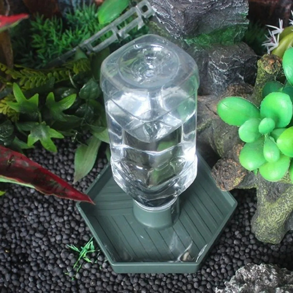 Anti-Slip Turtle Water & Food Bowl — Detachable Reptile Feeder Dish