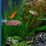 Acrylic Aquarium Shrimp Feeding Bowl & Fish Feeder Dish