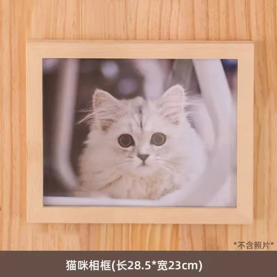 Wall-Mounted Cat Climbing Shelf & Hammock