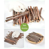 Apple Tree Branch Chew Sticks — Natural Teeth Grinding Sticks for Hamsters & Rabbits