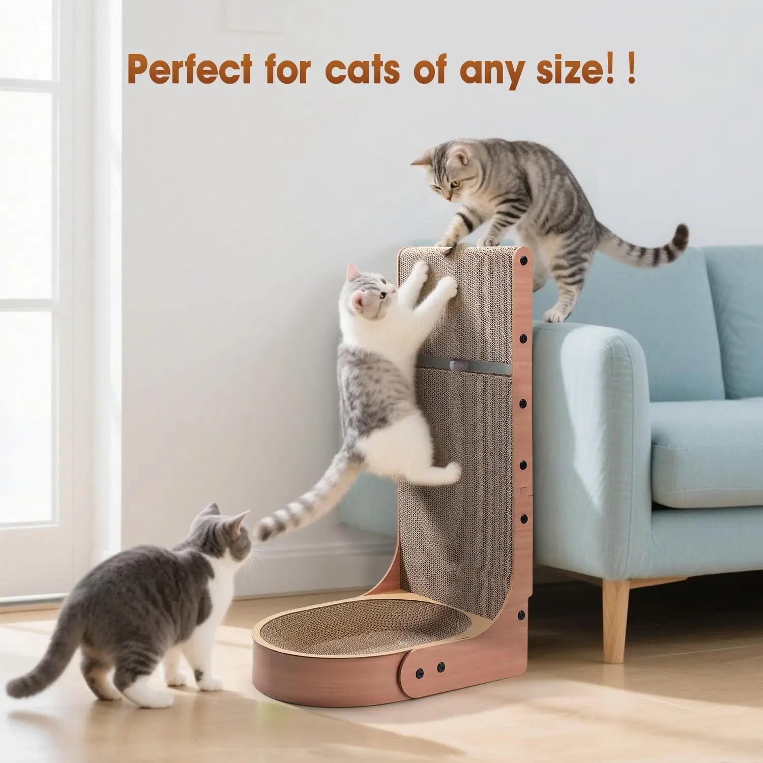 L-Shape Cat Scratcher with Bed & Toy Balls (26.8in)