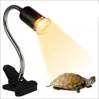 UVA Reptile Light Kit — Clip-On E27 Basking Lamp & Stand
