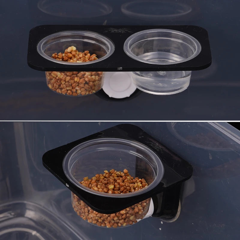 Suction-Cup Double Feeding Bowl — Space-Saving Dish for Geckos & Chameleons