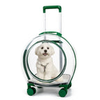 Large-Capacity Transparent Space Capsule Pet Suitcase with Shoulder Straps