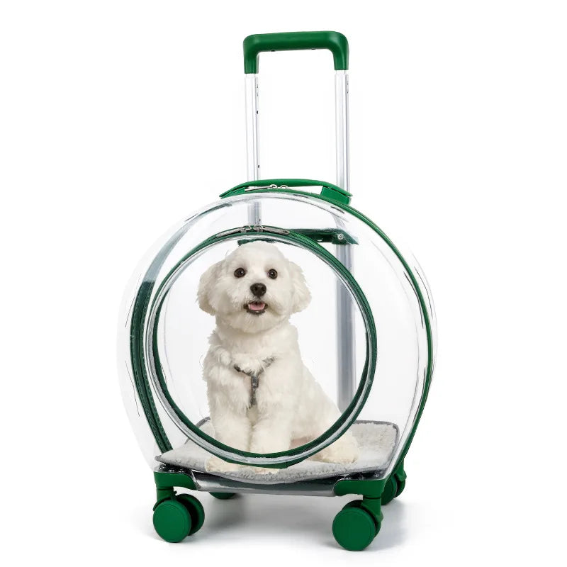 Large-Capacity Transparent Space Capsule Pet Suitcase with Shoulder Straps