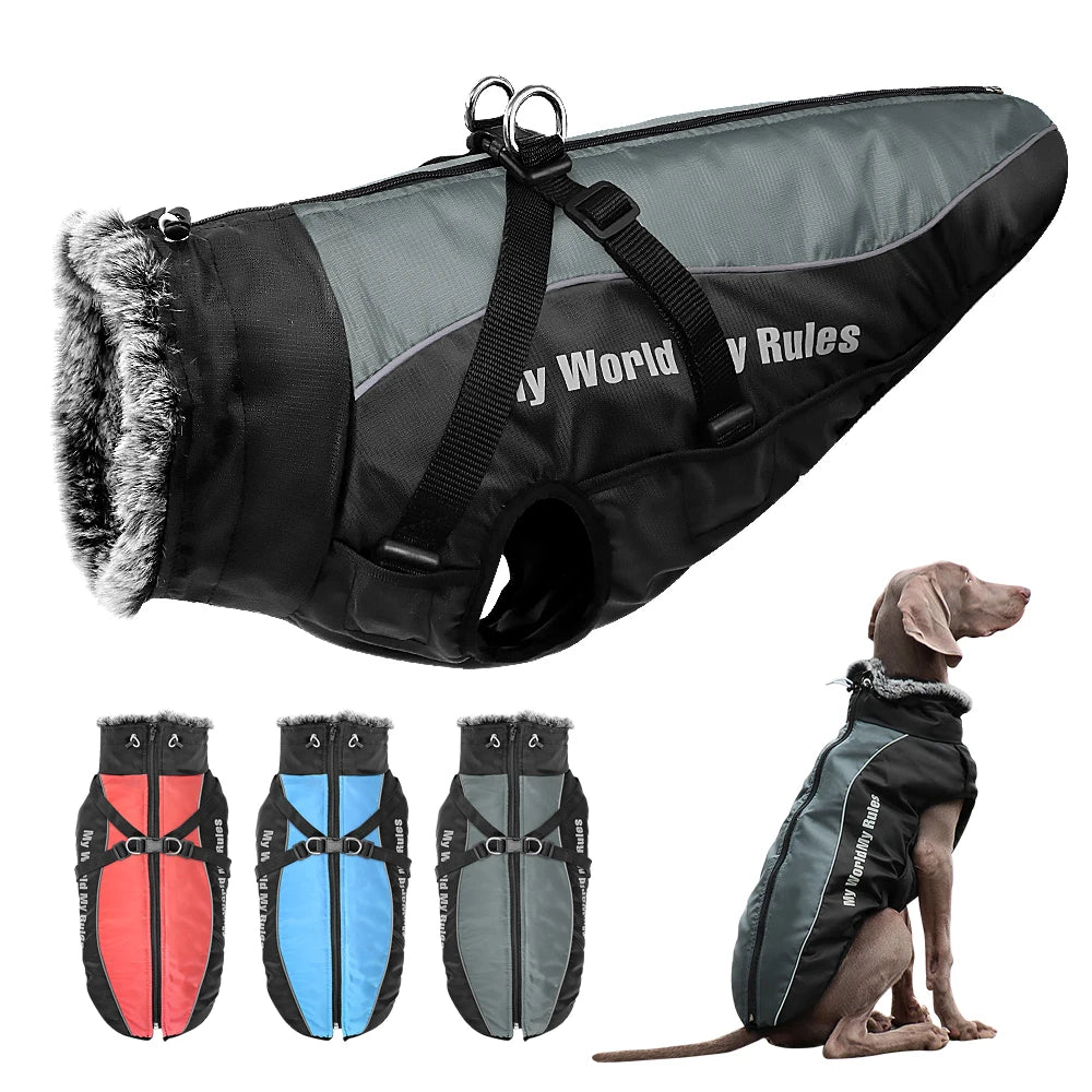 Waterproof Dog Jacket with Built-In Harness