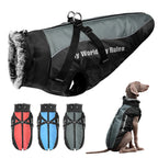 Waterproof Dog Jacket with Built-In Harness