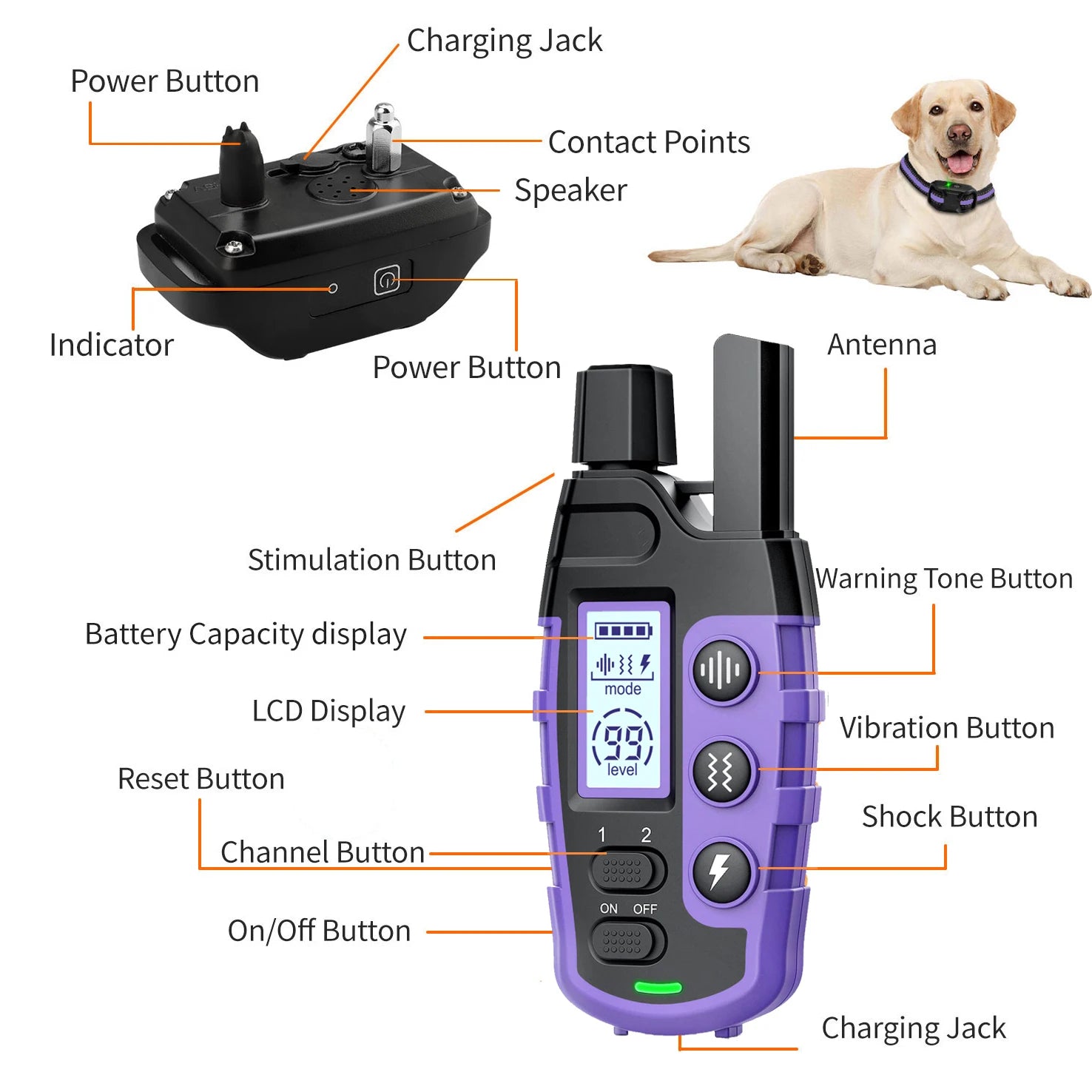 1000M Waterproof Dog Training Collar