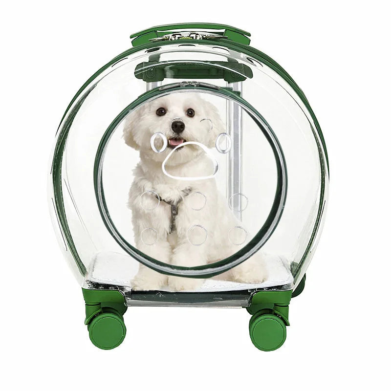 Large-Capacity Transparent Space Capsule Pet Suitcase with Shoulder Straps
