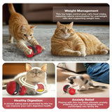 Cat Training Leaky Ball with Chirping Bird — Interactive Slow Feeder Toy