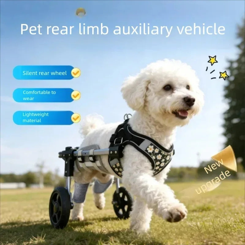 Adjustable Pet Wheelchair Mobility Aid with Wheels for Disabled & Rehabilitating Dogs & Cats