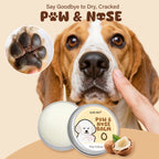 Shea Butter Paw Balm — Moisturizing Relief for Dry, Cracked Paw Pads