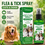 Plant-Based Flea & Tick Spray — Fast-Acting, Non-Toxic Formula for Dogs & Cats