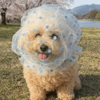 Pet Anti-Mosquito Headgear (Breathable Mesh, Adjustable, Love/Wave Pattern)