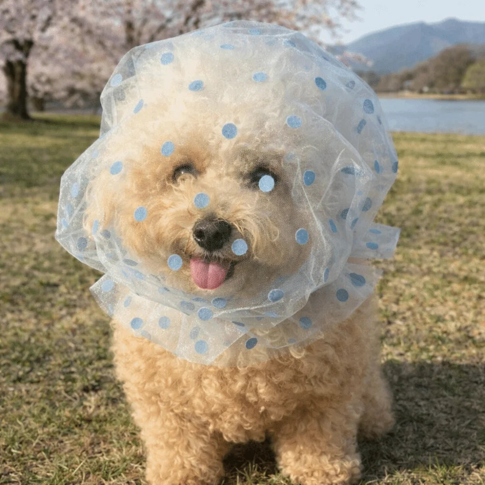 Pet Anti-Mosquito Headgear (Breathable Mesh, Adjustable, Love/Wave Pattern)