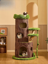 Solid Wood Jungle Cat Tree with Scratching Board