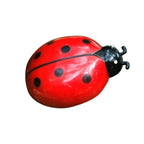 Motorized Insect Cat Toy — Rotating Beetle & Bug Simulation Chaser
