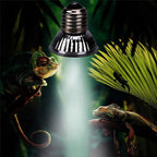 UVA+UVB Full Spectrum Reptile Basking Bulb — 25W-75W Sunlamp