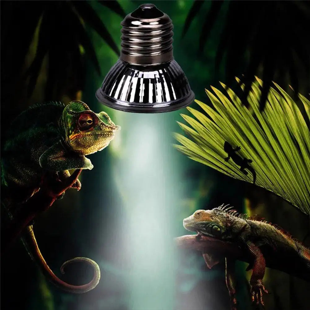 UVA+UVB Full Spectrum Reptile Basking Bulb — 25W-75W Sunlamp