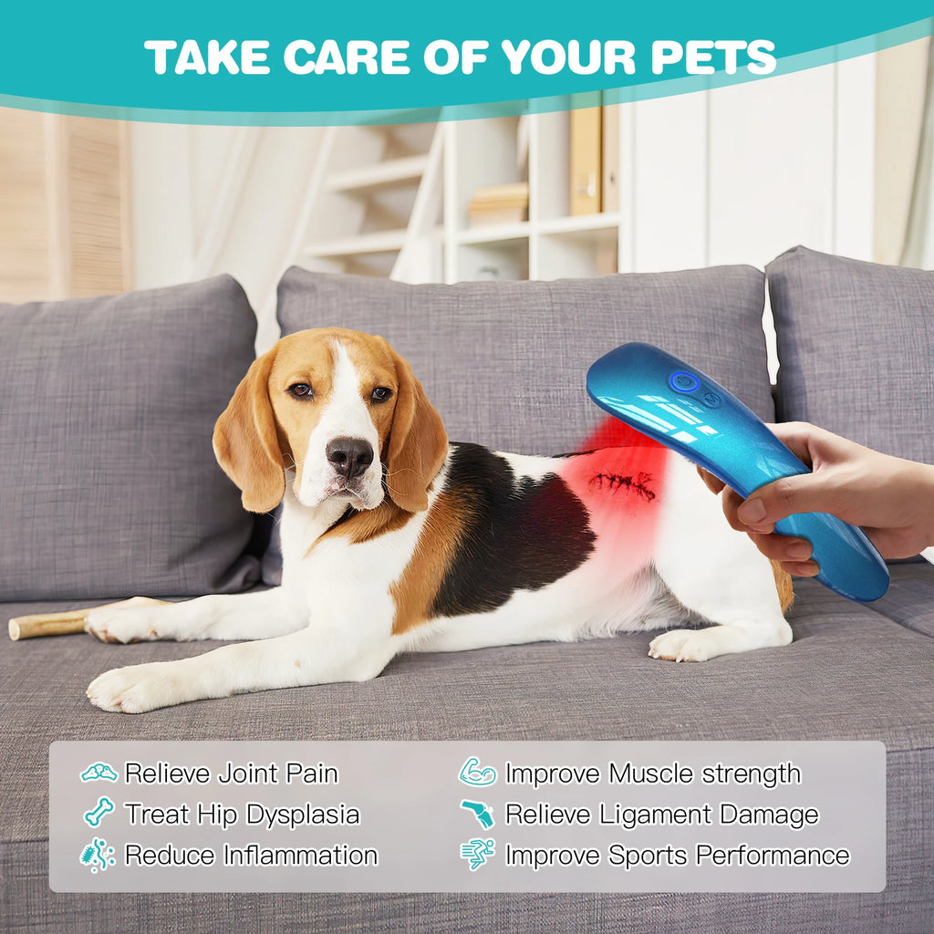 Portable Red Light Laser Therapy Device for Pets