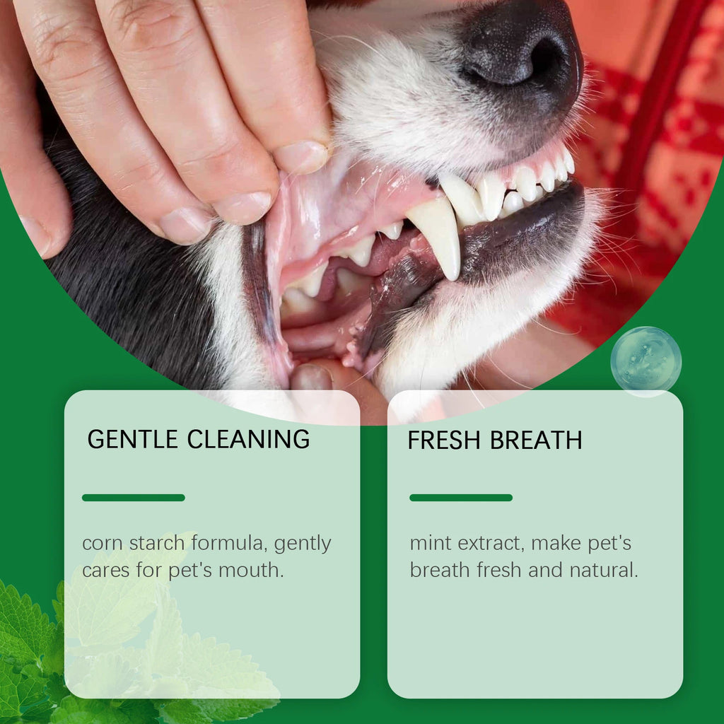 Pet Teeth Cleaning Powder — Reduces Tartar & Freshens Breath, 100g