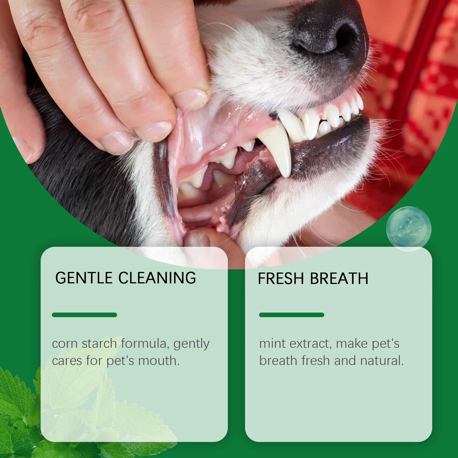 Pet Teeth Cleaning Powder — Reduces Tartar & Freshens Breath, 100g
