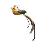 Hummingbird Long Pole Cat Teaser Stick — Interactive Feather Wand Toy for Kittens
