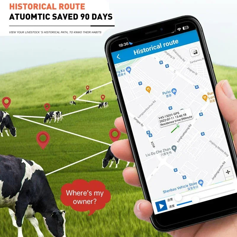 4G GPS Livestock Tracker for Sheep, Cattle & Horses with 20,000mAh Battery