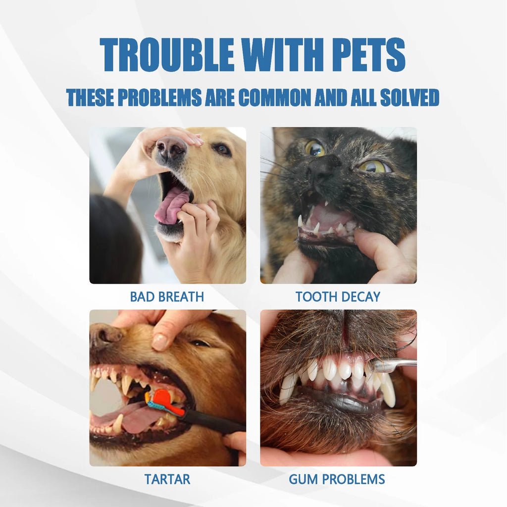 Pet Mouth Cleaning Foam — Natural Tartar Remover, 12-Hour Fresh Breath