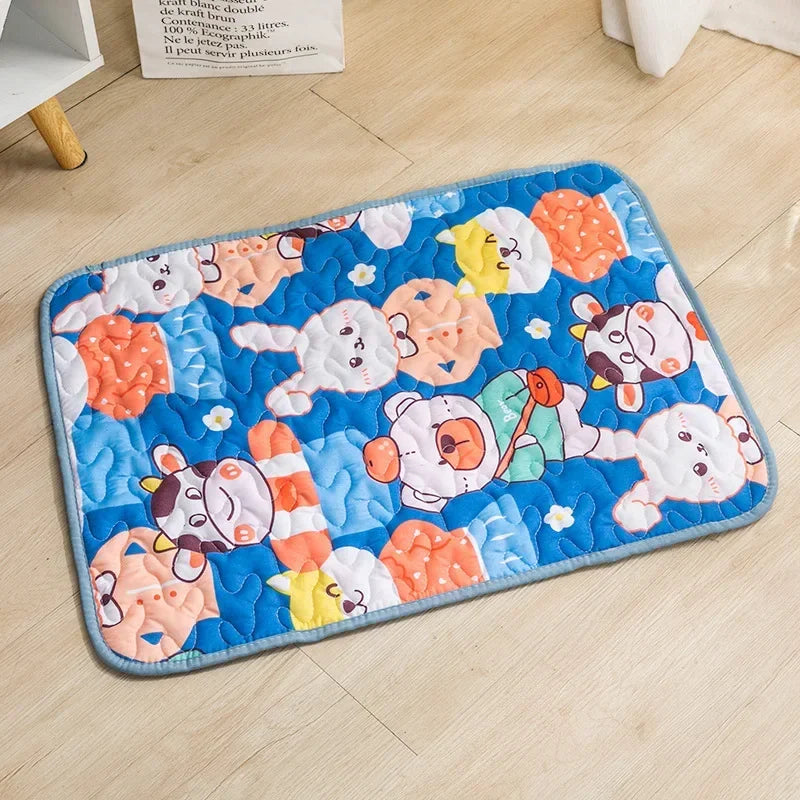 Multi-Functional Washable Pet Mat