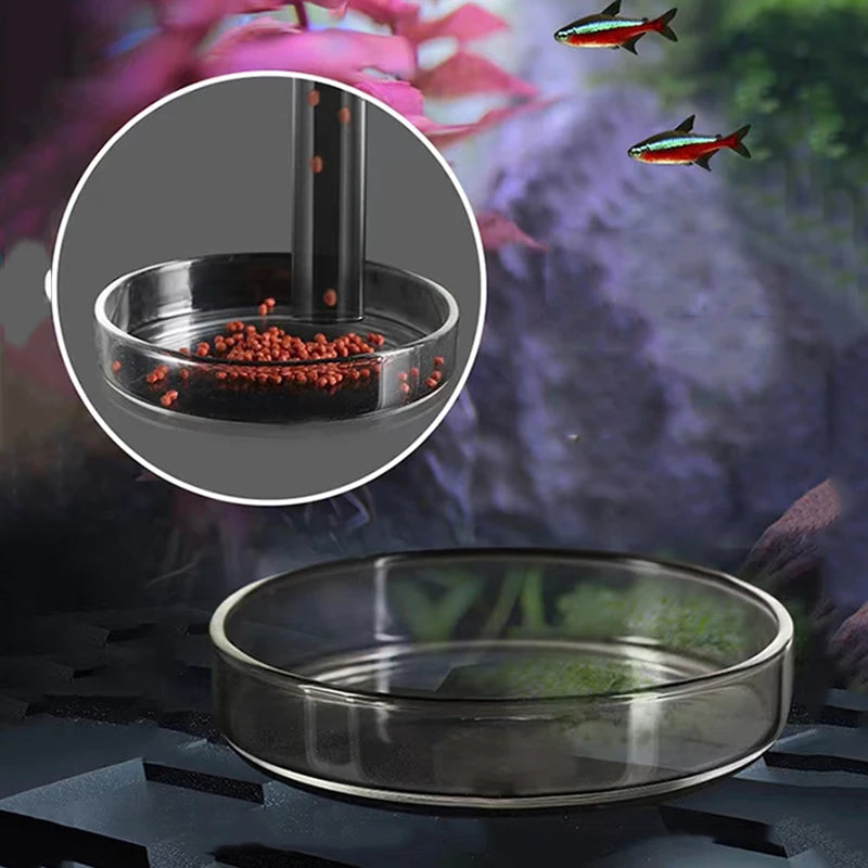 Glass Aquarium Shrimp Feeder Bowl & Tube (Transparent, Food Dish)