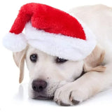 Plush Santa Hat for Dogs (Christmas Costume Accessory)