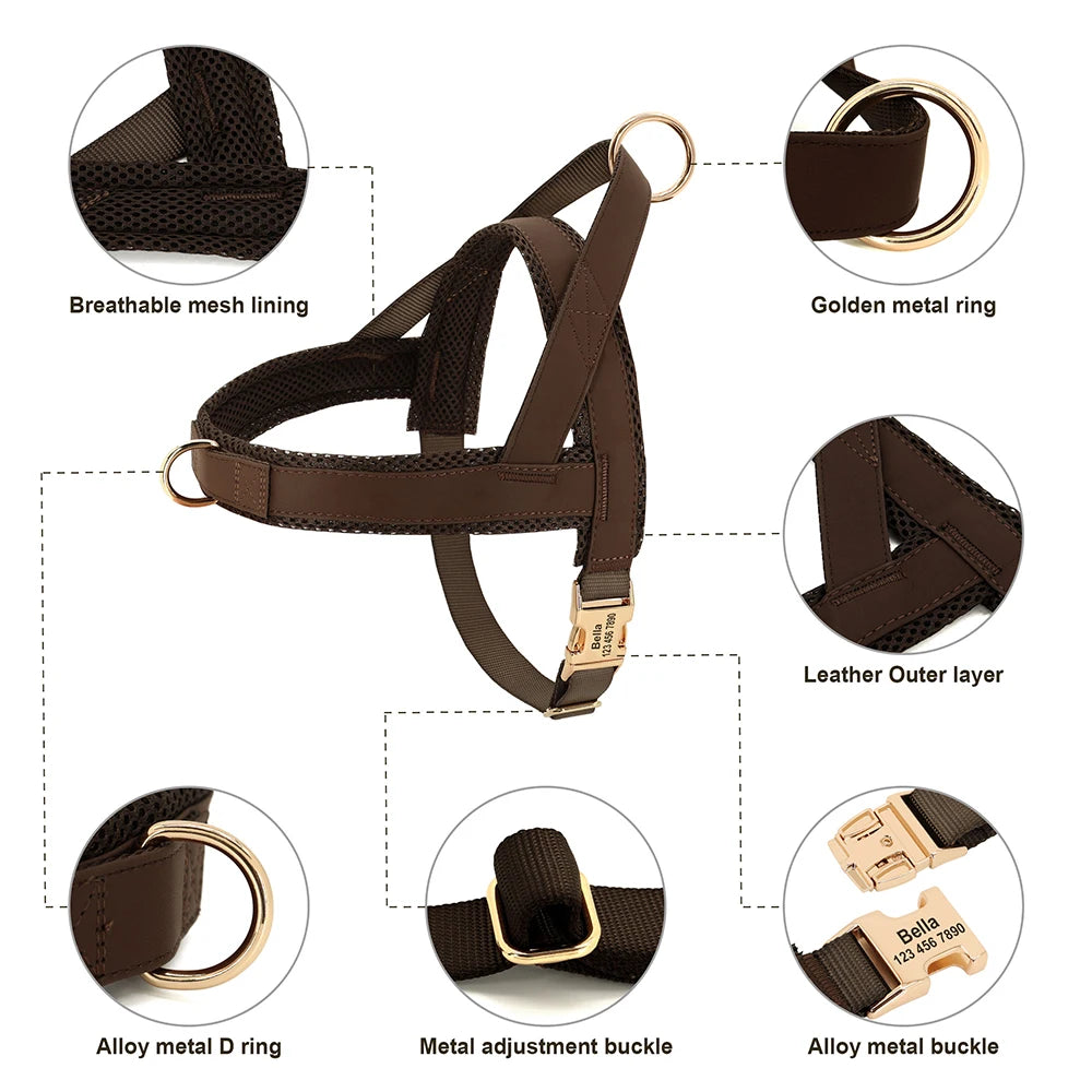 Personalized Engraved Dog Harness