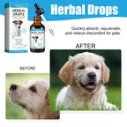 Herbal Cough & Runny Nose Drops for Dogs — Soothing Relief Support