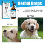 Herbal Cough & Runny Nose Drops for Dogs — Soothing Relief Support