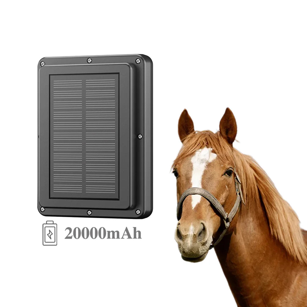 GPSONE GPS Livestock Collar with Virtual Fence, Step Counter & Electric Shock Training