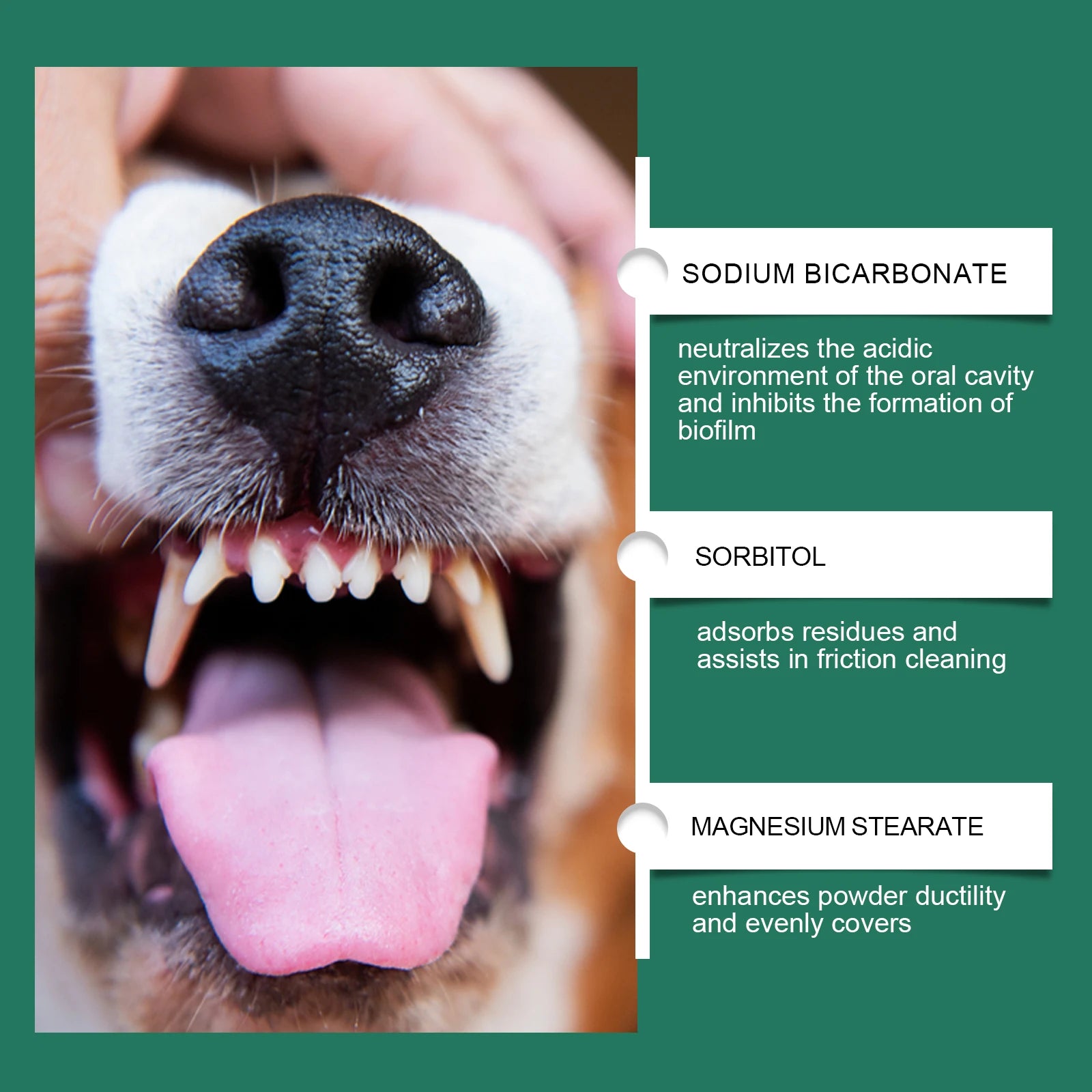 Pet Teeth Cleaning Powder — Reduces Tartar & Freshens Breath, 100g