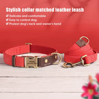 Personalized Dog Collar & Leash Set