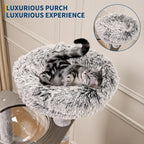 66.9in Cat Tree Tower with Enclosed Litter Box