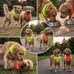 Reflective Dog Bandana Scarf (Washable, Luminous, Adjustable)