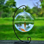 Hanging Glass Fish Bowl Vase (Round & Rectangle, Wall-Mounted)