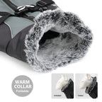 Waterproof Dog Jacket with Built-In Harness